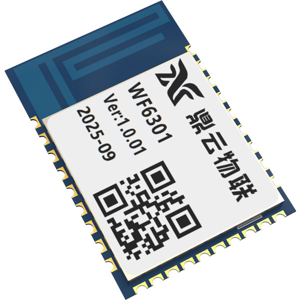 WF6301-1